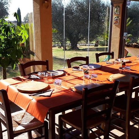 Casa Degli Ulivi Bed and Breakfast Cerveteri Eksteriør billede