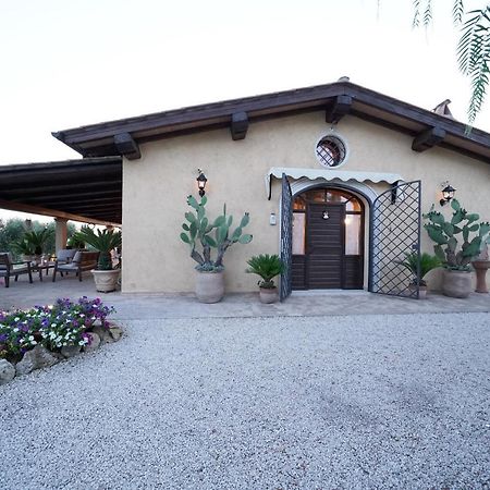 Casa Degli Ulivi Bed and Breakfast Cerveteri Eksteriør billede