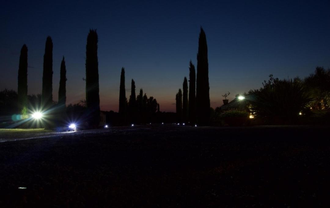 Casa Degli Ulivi Bed and Breakfast Cerveteri Eksteriør billede