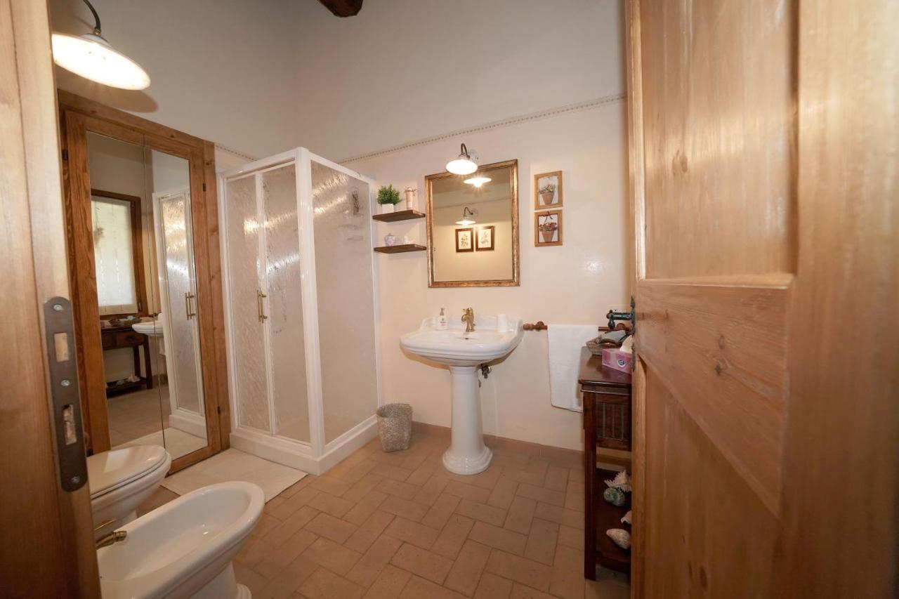 Casa Degli Ulivi Bed and Breakfast Cerveteri Eksteriør billede