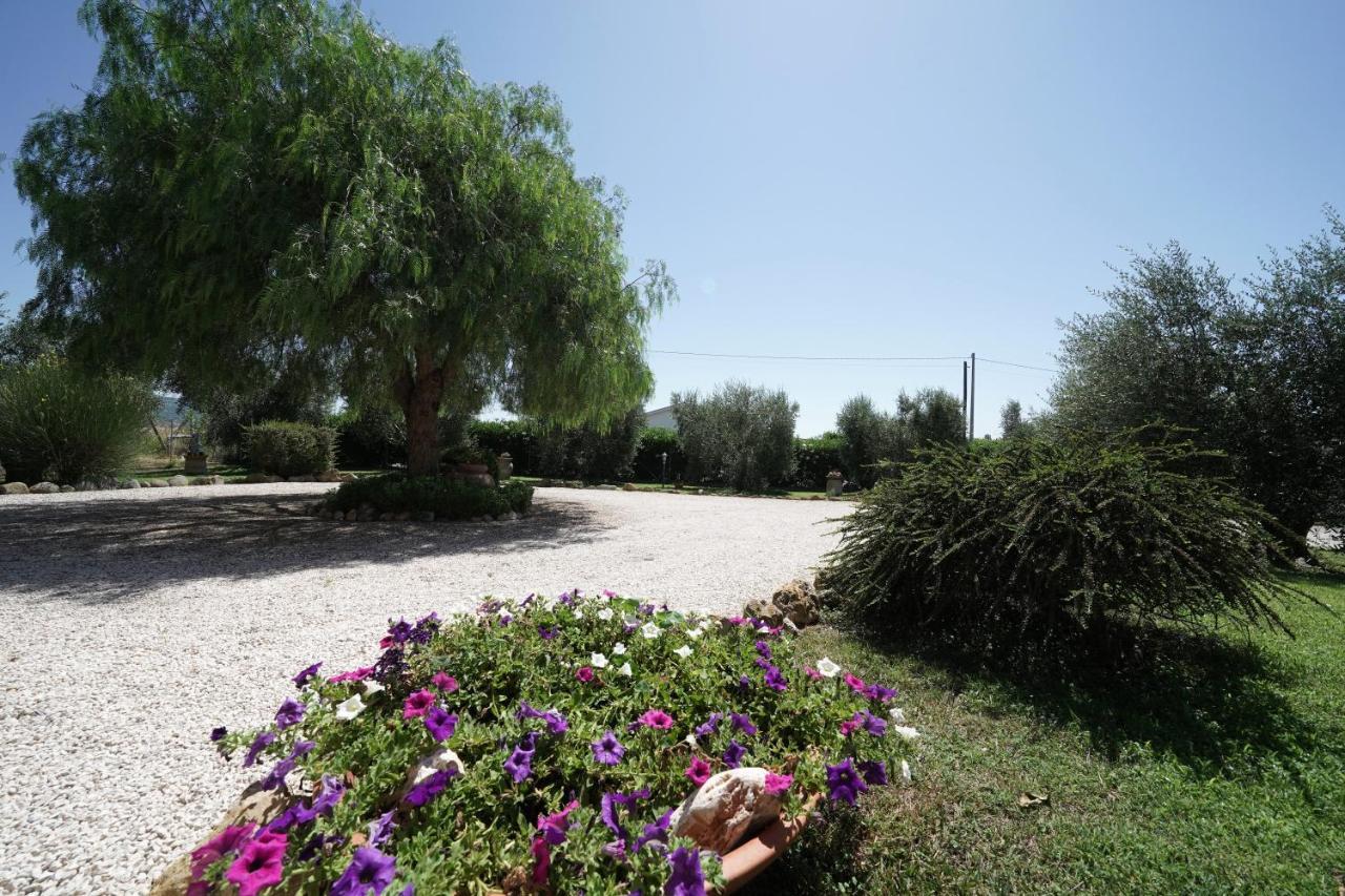 Casa Degli Ulivi Bed and Breakfast Cerveteri Eksteriør billede