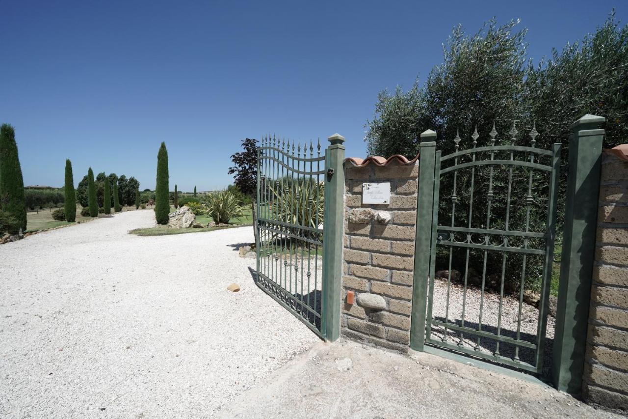 Casa Degli Ulivi Bed and Breakfast Cerveteri Eksteriør billede