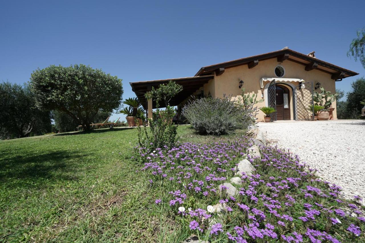 Casa Degli Ulivi Bed and Breakfast Cerveteri Eksteriør billede