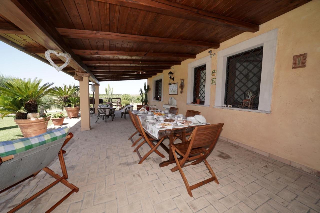 Casa Degli Ulivi Bed and Breakfast Cerveteri Eksteriør billede