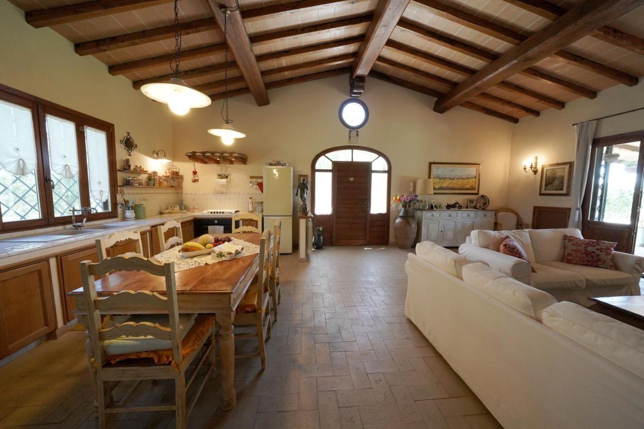 Casa Degli Ulivi Bed and Breakfast Cerveteri Eksteriør billede