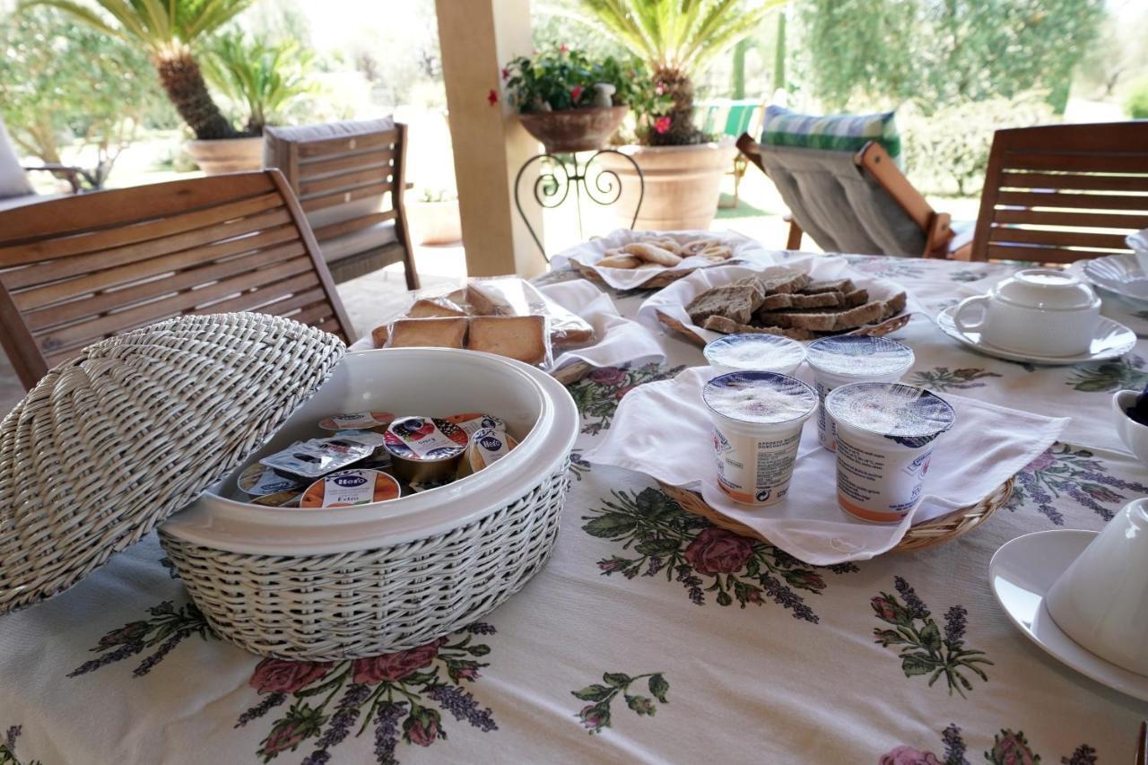 Casa Degli Ulivi Bed and Breakfast Cerveteri Eksteriør billede