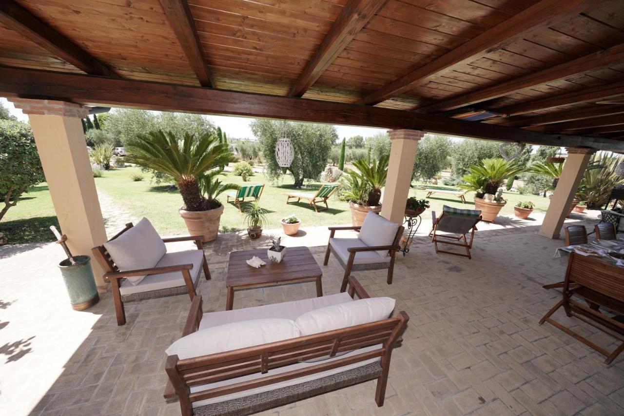 Casa Degli Ulivi Bed and Breakfast Cerveteri Eksteriør billede